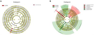 Continuous-cropping-tolerant soybean cultivars alleviate continuous cropping obstacles by improving structure and function of rhizosphere microorganisms